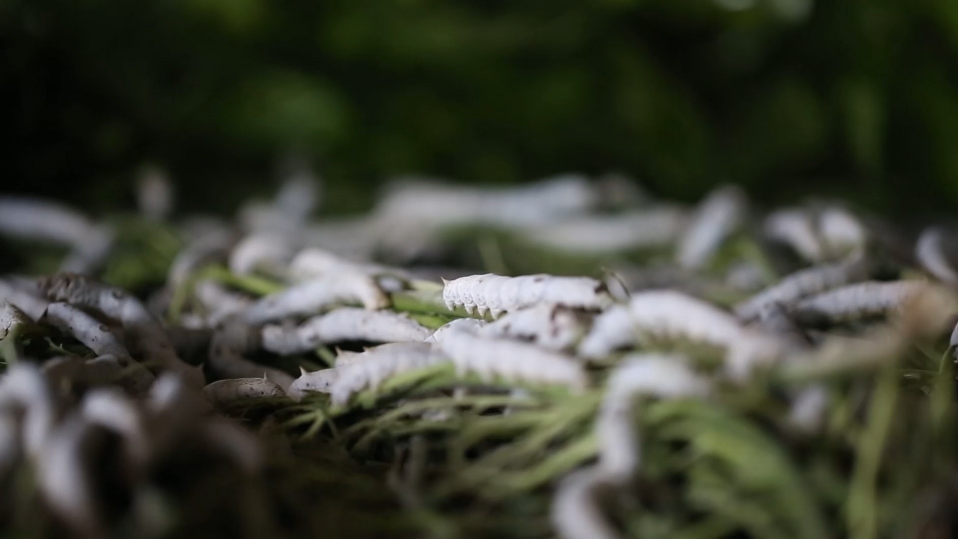 Heartfelt Craftsmanship